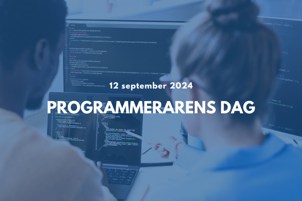 Programmerarens dag 2024