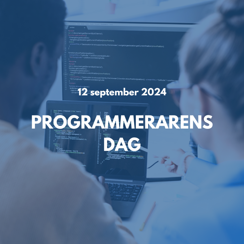 Programmerarens dag 2024